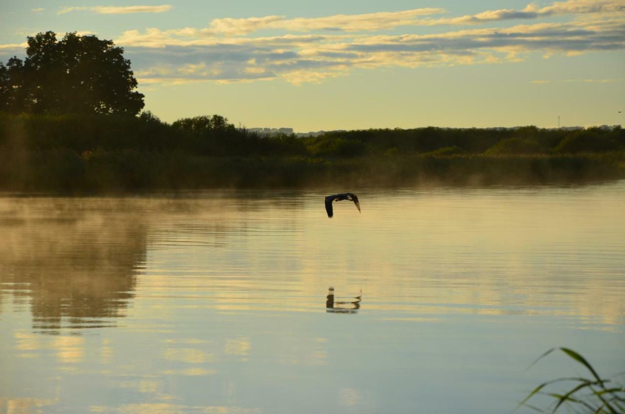 Domek Nad Odra Gryfino Exteriér fotografie